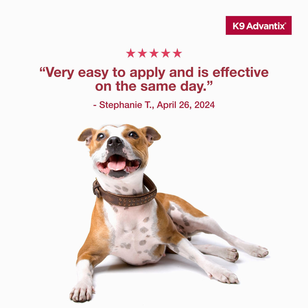 K9 Advantix Large Dog waterproof after 24 hours for rain or swim