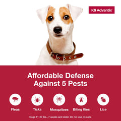 K9 Advantix mosquito prevention for dogs reduces exposure to bites