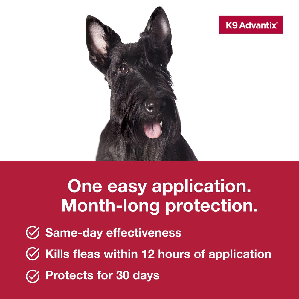 K9 Advantix medium dog waterproof after 24 hours for lasting protection
