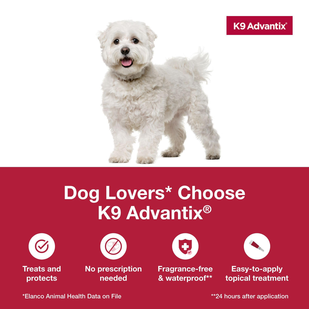 K9 Advantix small dog fragrance-free topical treatment with minimal odor.