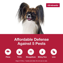 K9 Advantix small dog waterproof formula remains effective after 24 hours.