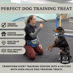 Treats on training mat ready for quick obedience rewards