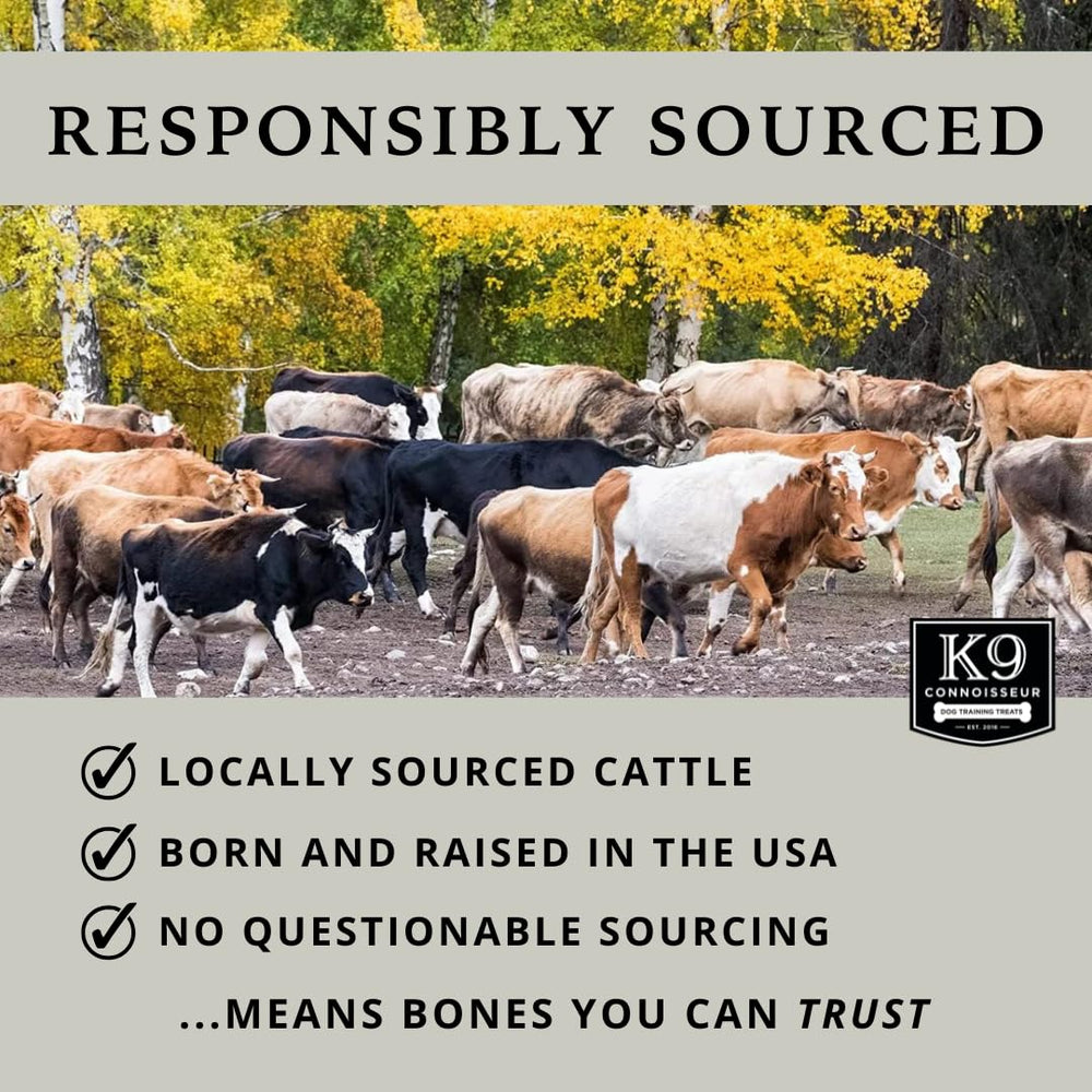 K9 Connoisseur beef marrow bone designed for small and medium dogs up to 50 pounds