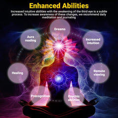 Kailash Herbals Haritaki whole fruit image emphasizing full-spectrum formula for vitality