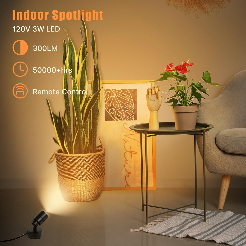 Kandicyar LED spotlight artwork: precise beam highlights details.