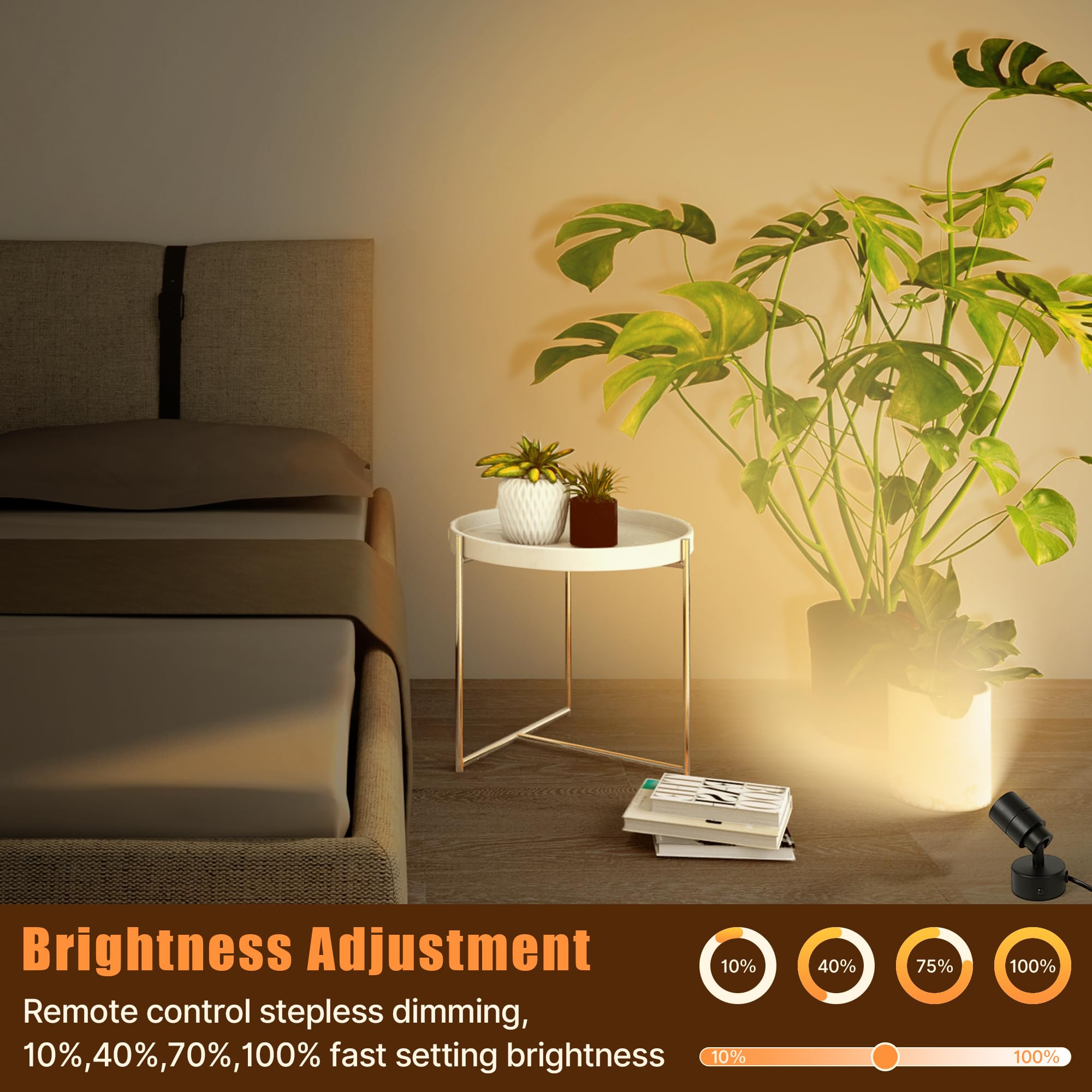 Kandicyar LED spotlight plant: highlights foliage with subtle glow.