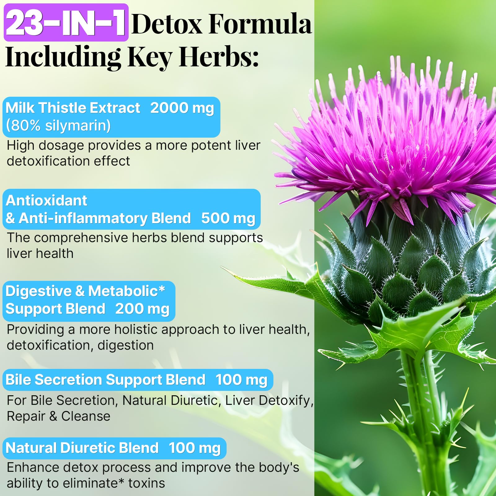 Kaourso Liver Detox ingredients image shows Artichoke and Dandelion for digestive support.