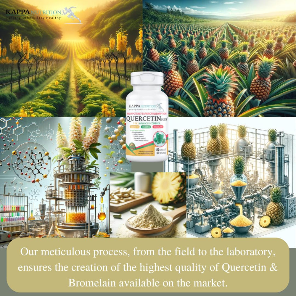 KAPPA NUTRITION Quercetin Plus in-use scene suggesting daily immune support routine