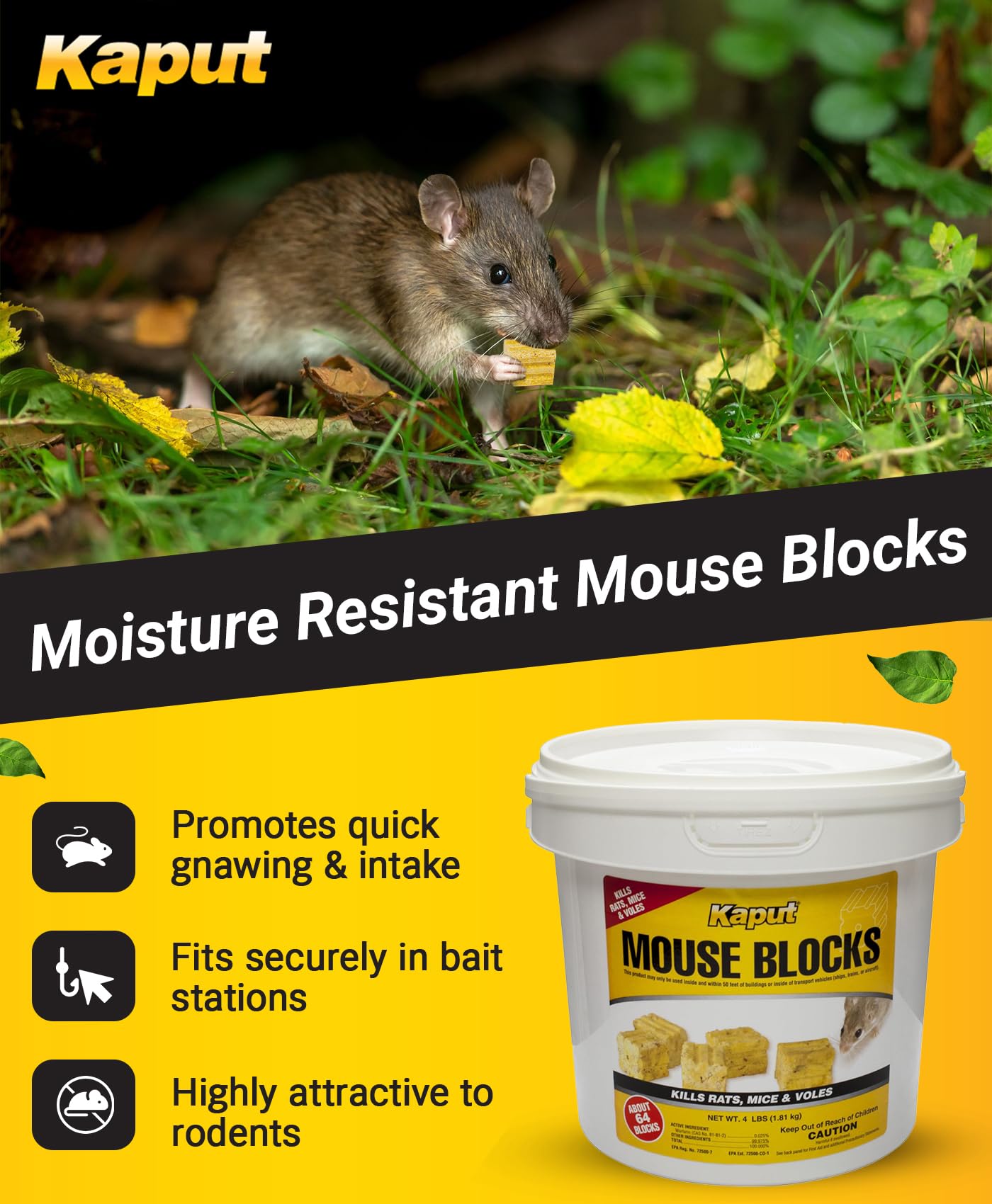 Kaput indoor-outdoor-use-label demonstrating versatile placement around buildings