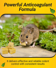 Kaput Warfarin Mouse Blocks closeup highlighting slow-feeding design for rodents