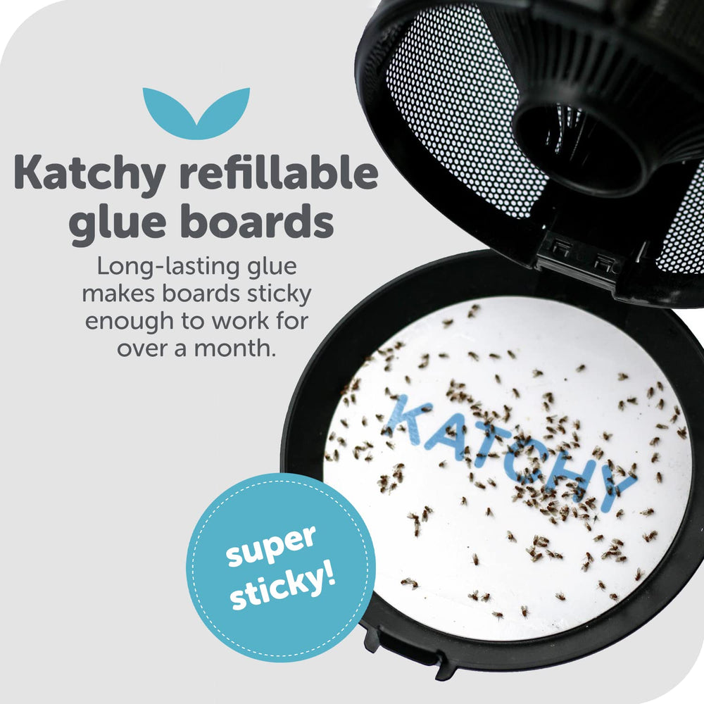 KATCHY Midnight glue board refill mounted inside trap catches gnats
