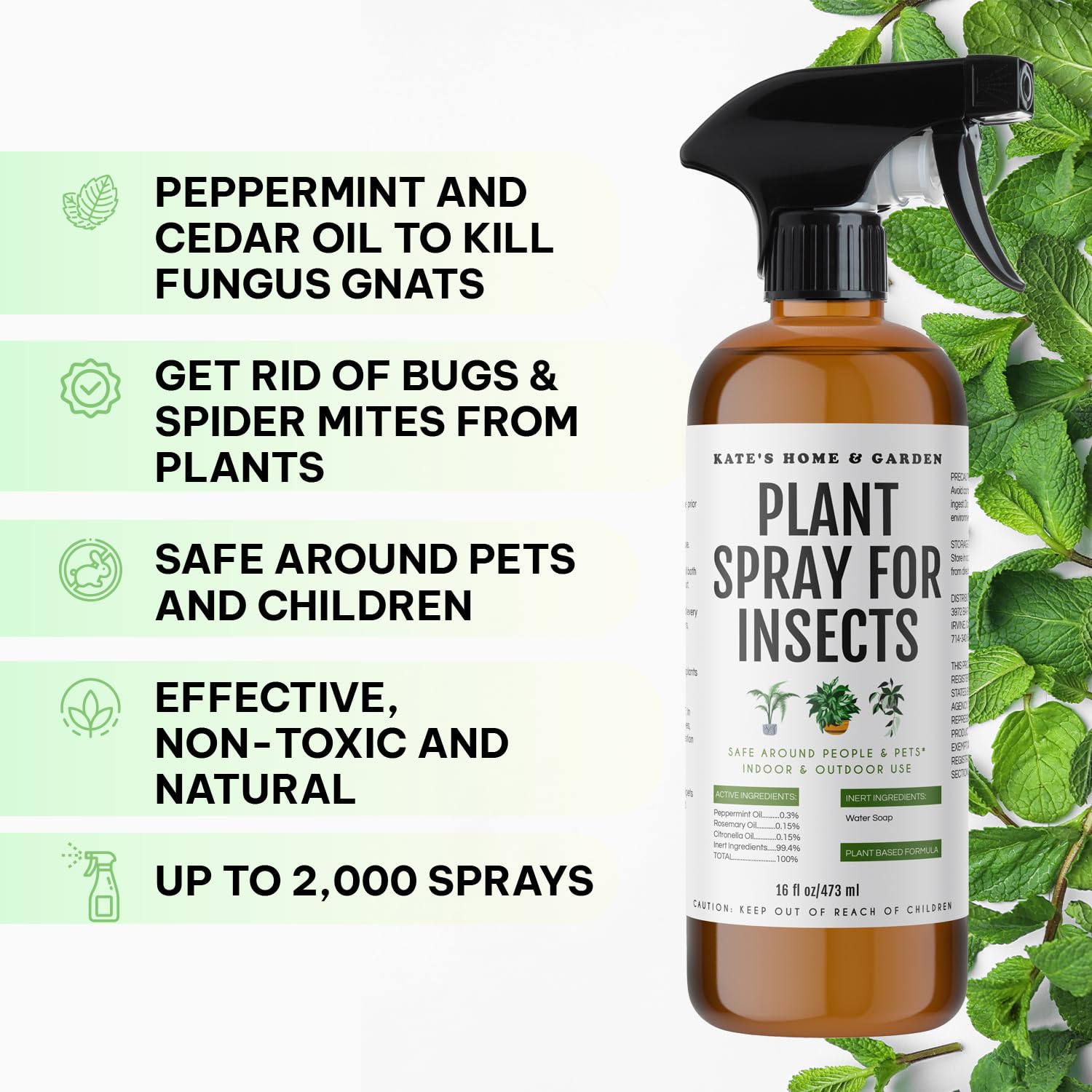 Placing Kate's Home & Garden gnat sticky traps around potted plants