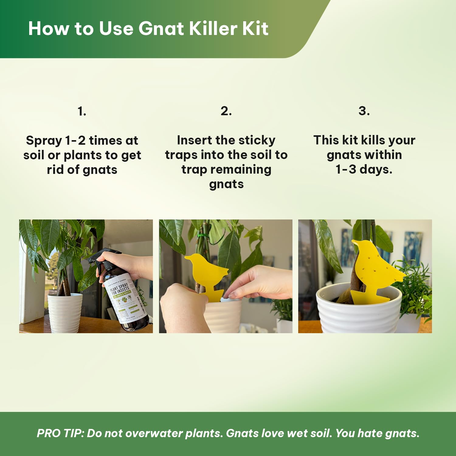 Safe use around kids and pets with Kate's Home & Garden plant spray