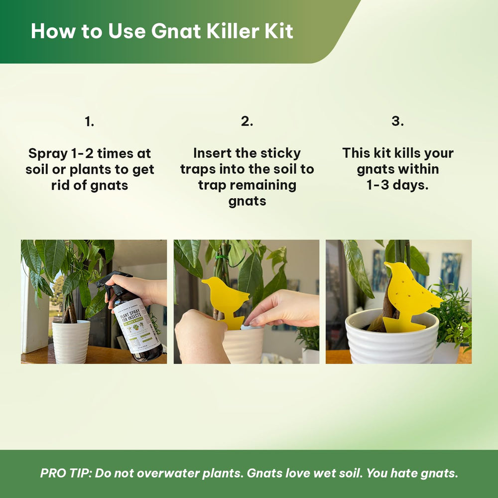 Safe use around kids and pets with Kate's Home & Garden plant spray