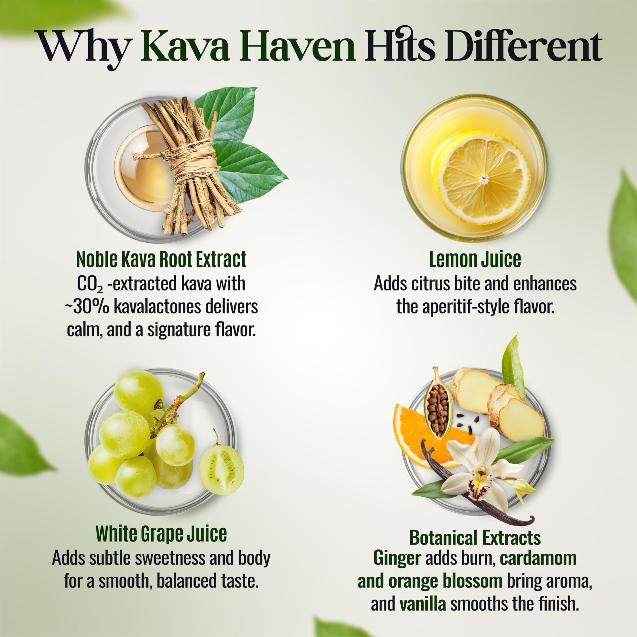 Kava Haven Lemon Ginger Spirit ingredient-closeup highlights noble kava and botanicals.