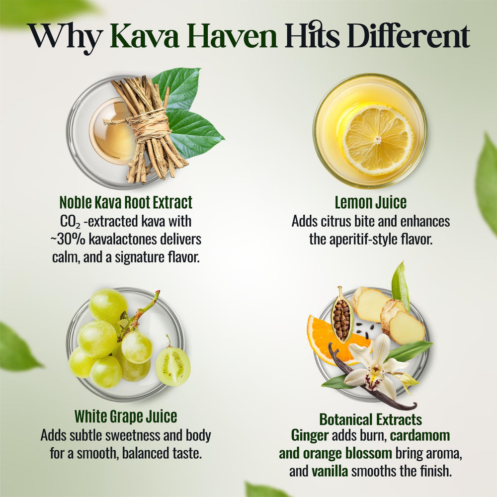 Kava Haven Lemon Ginger Spirit ingredient-closeup highlights noble kava and botanicals.