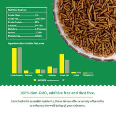 Kayhen BSFL larvae as a high-protein chicken treat for laying hens