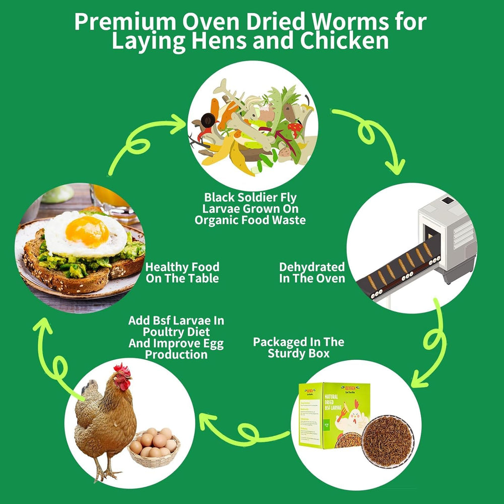 Kayhen resealable bag keeps BSFL fresh and ready