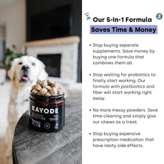 Kayode Stress Digestive Support helps digestion during stressful moments.