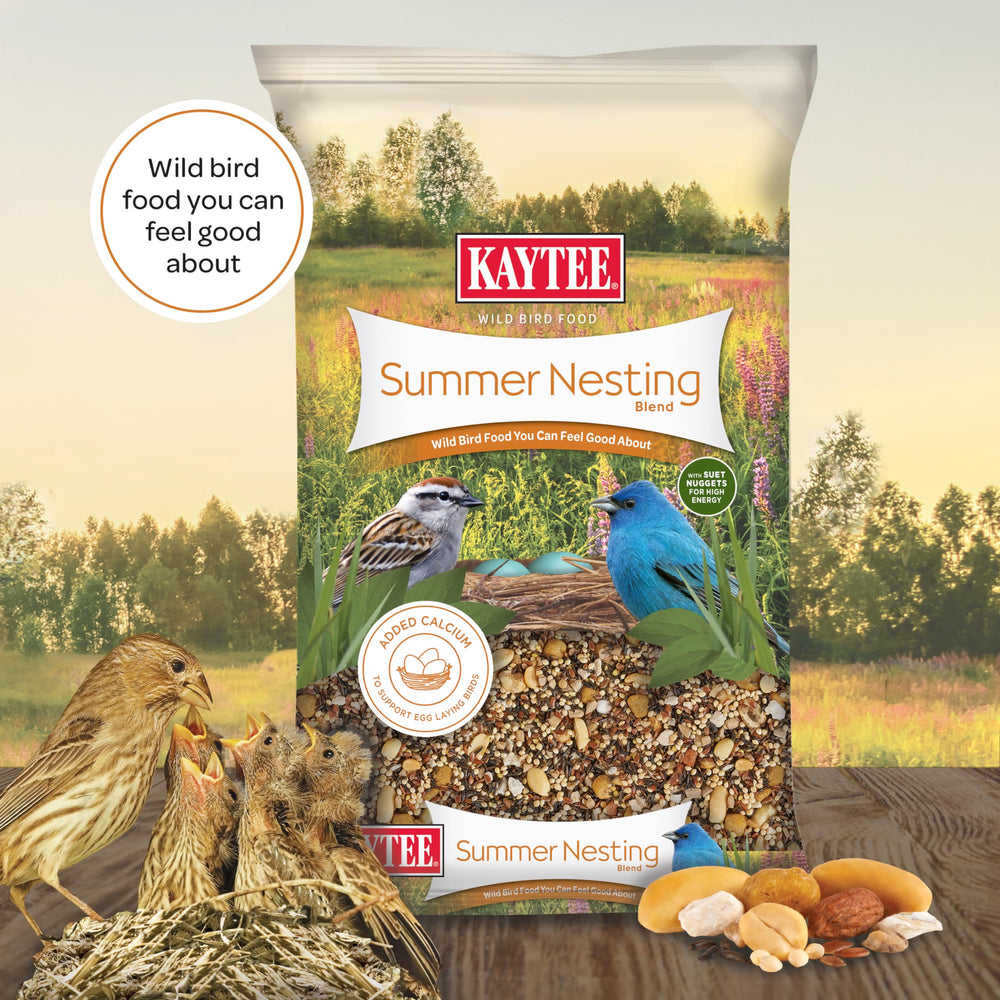 Kaytee backyard setup with feeder displaying seed blend to attract wildlife