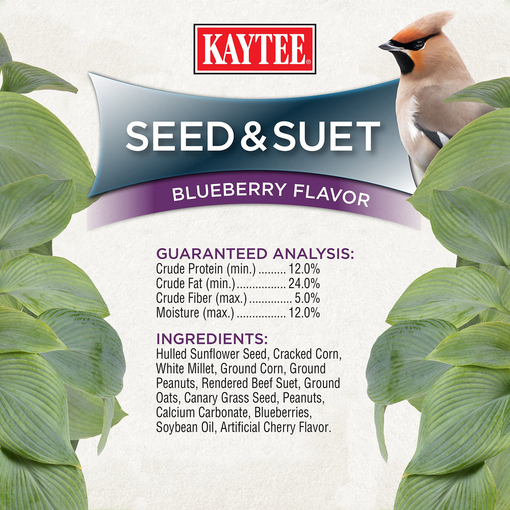 Kaytee backyard feeding looks clean and easy to manage during birdwatching.