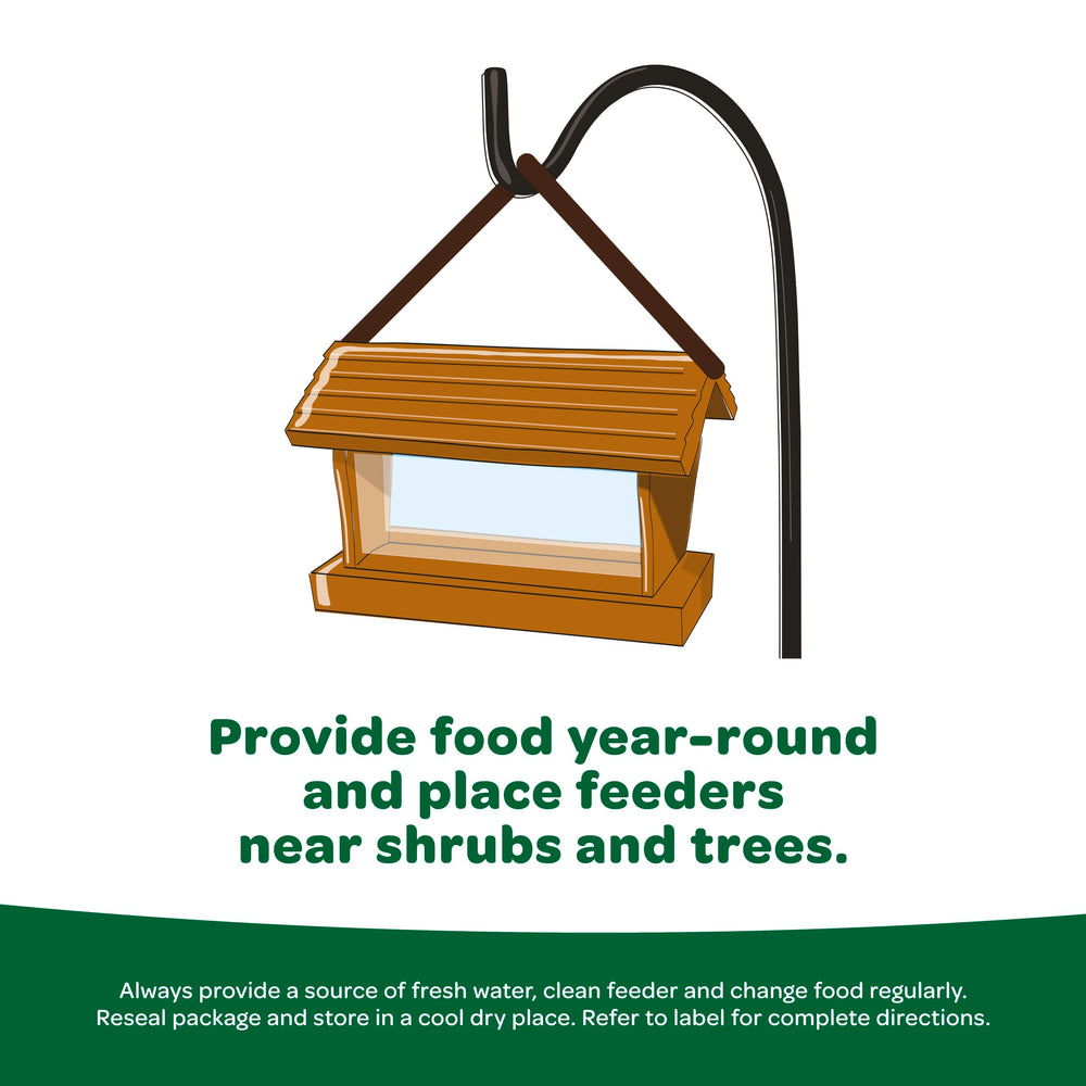 Kaytee Essentials Blend draws cardinals and chickadees to the backyard feeder