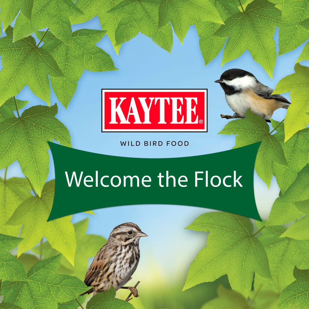 Kaytee Essentials Blend comes in a nine-point-five-pound bag for easy use