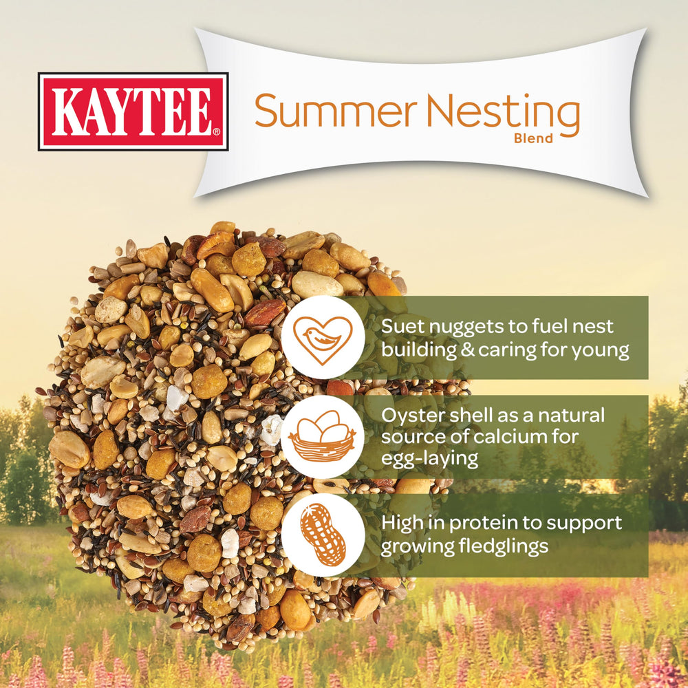 Kaytee fat-rich suet nuggets ready to fuel parent birds feeding youngsters