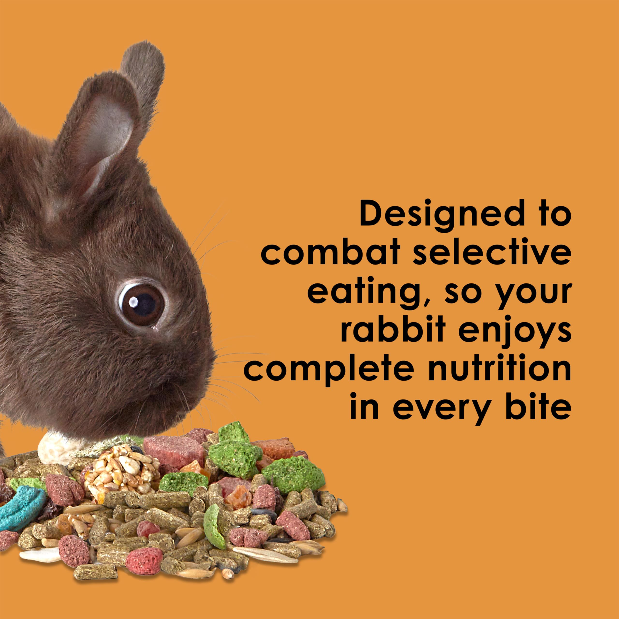 Kaytee Fiesta natural antioxidants supporting overall health and vitality.
