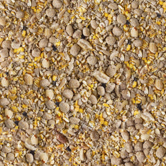 Kaytee Seed and Suet No Mess Peanut 10 lb in feeder attracts more birds.