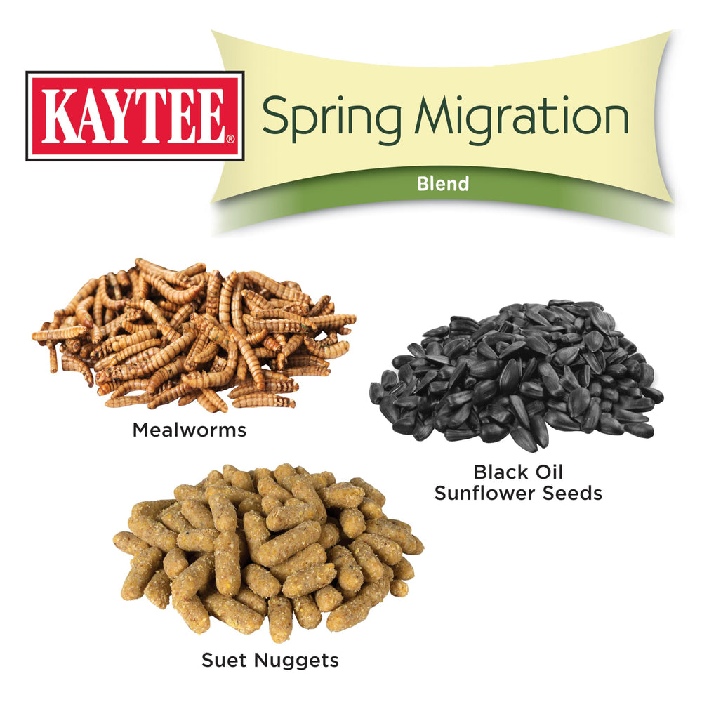 Kaytee bird on feeder in spring migration scene