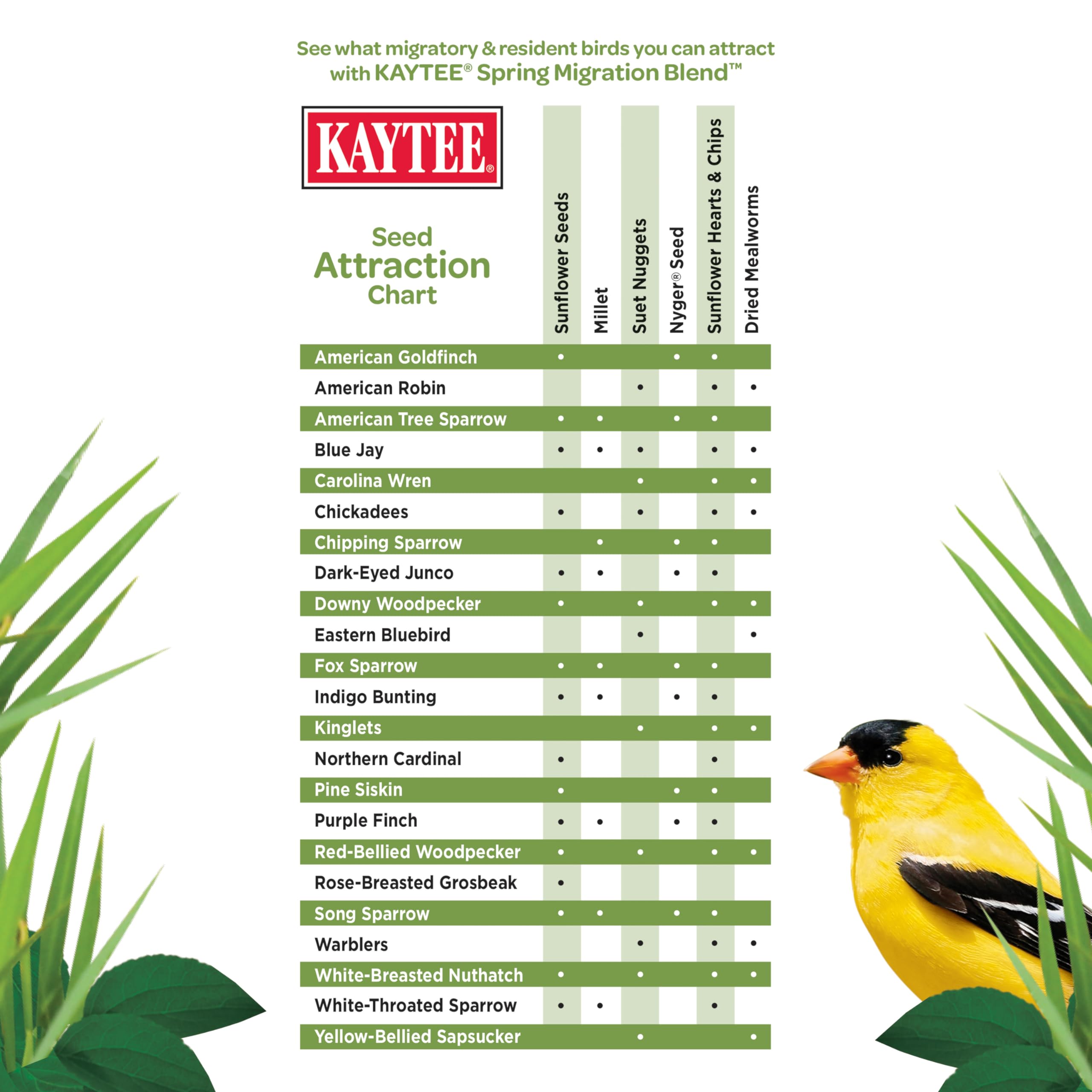 Kaytee diverse seed variety ready for a range of species