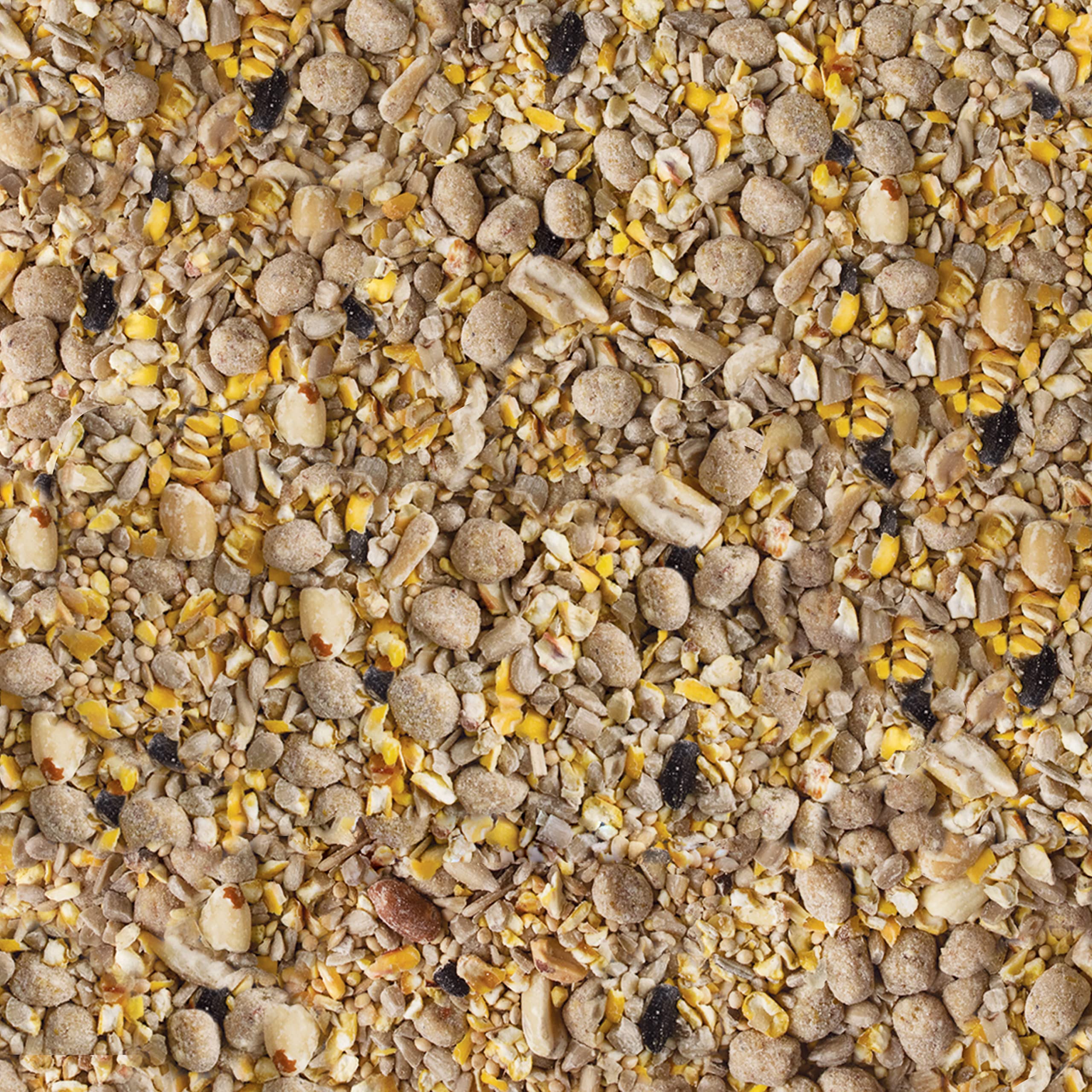 Kaytee blend attracts three times more woodpeckers than sunflower seeds.