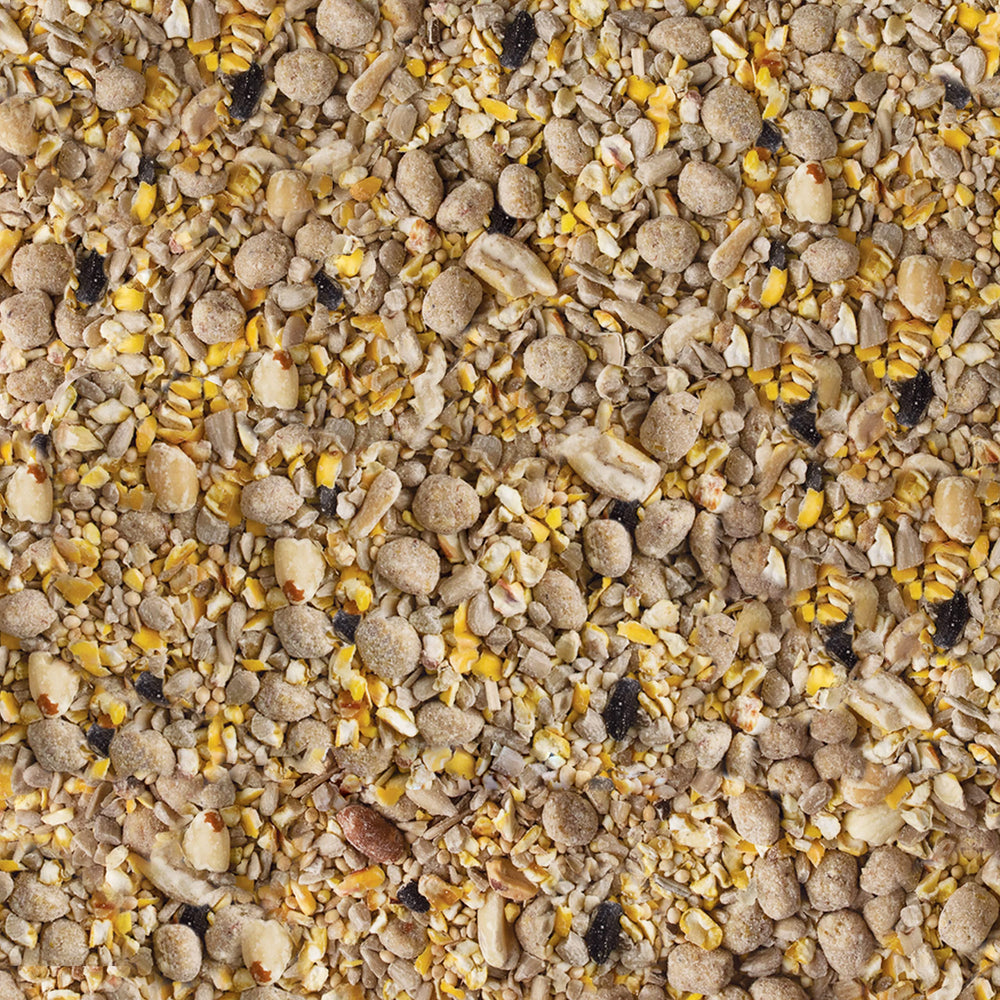 Kaytee blend attracts three times more woodpeckers than sunflower seeds.