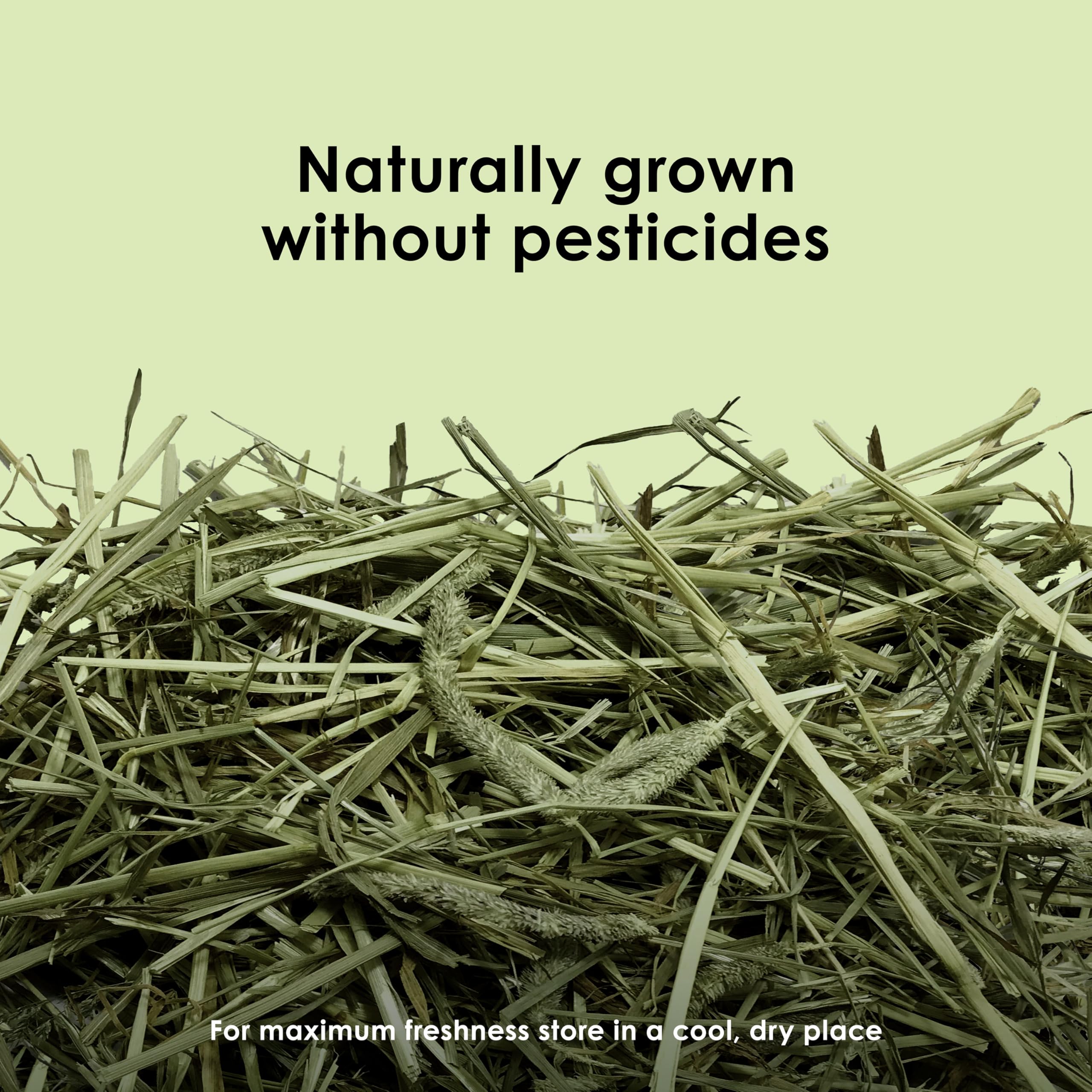 Kaytee Timothy Hay highlights long fibers for natural chewing and digestion support.
