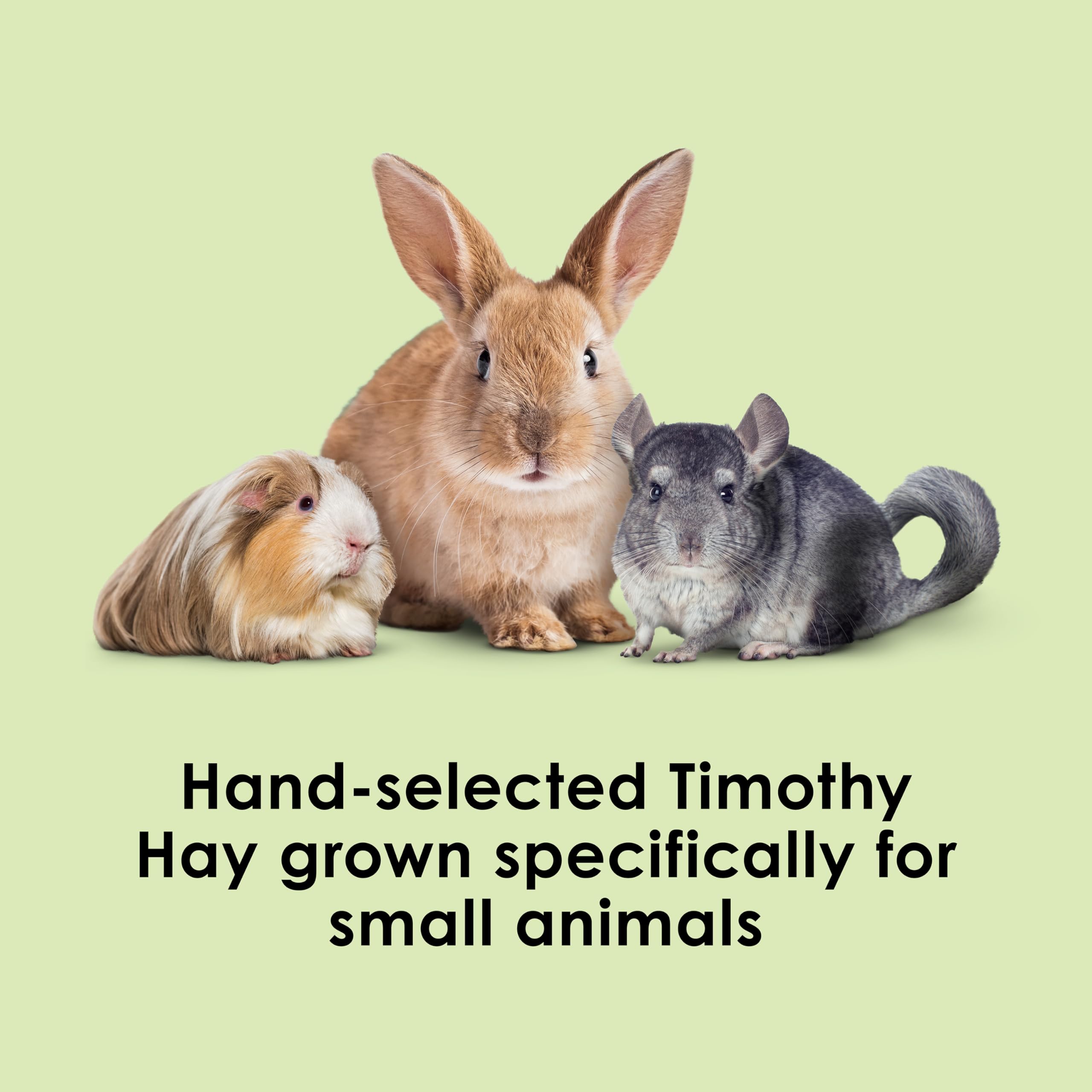 Kaytee Timothy Hay hand-selected process showing optimal leaf-to-stem ratio for balanced nutrition.