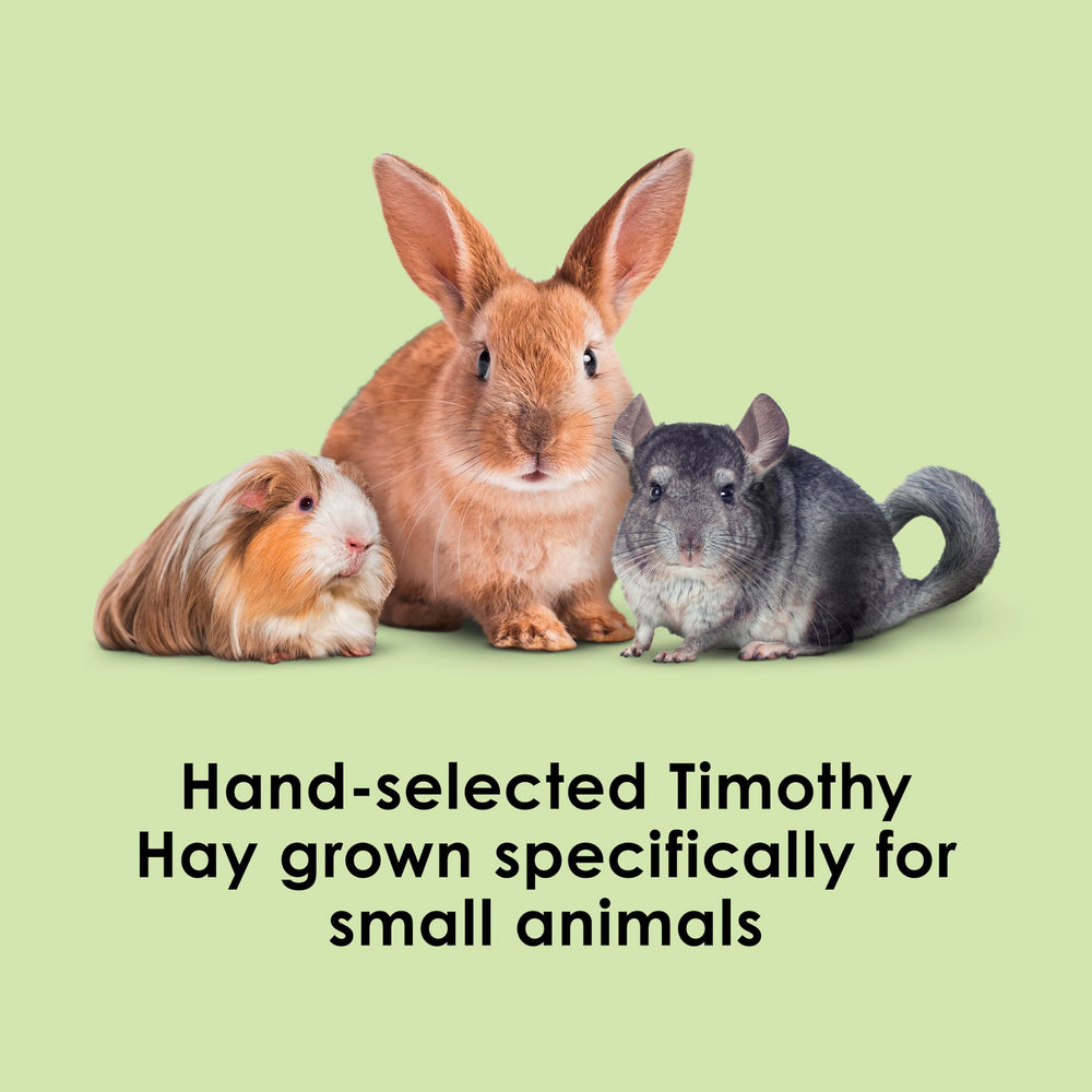 Kaytee Timothy Hay hand-selected process showing optimal leaf-to-stem ratio for balanced nutrition.