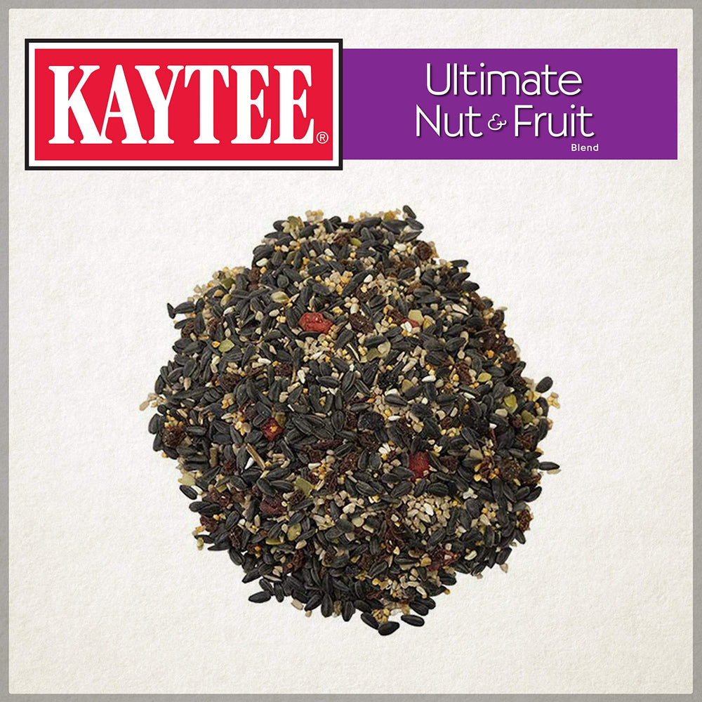 Kaytee Ultimate Nut & Fruit Blend on hopper feeder attracting diverse songbirds