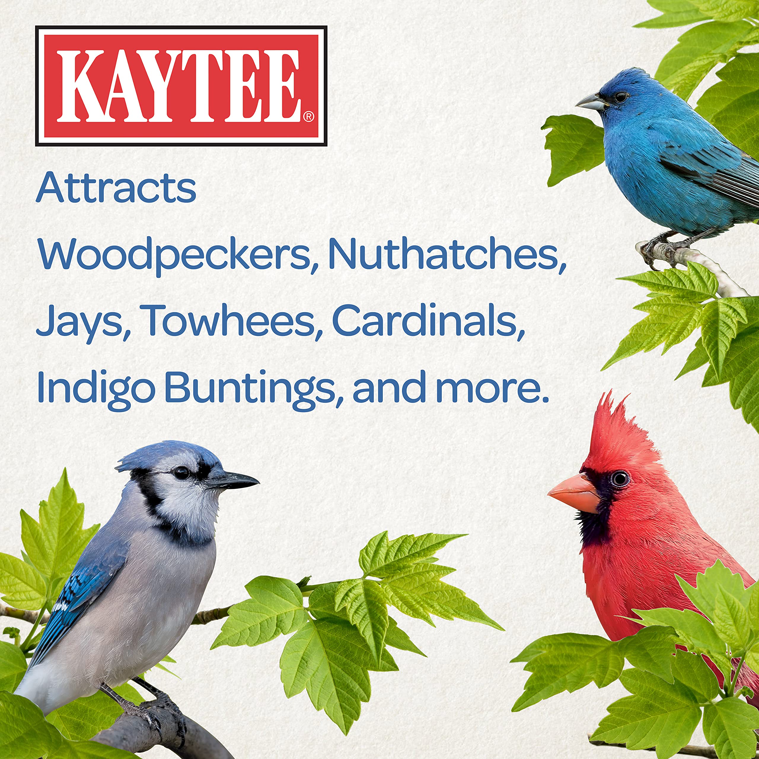 Woodpeckers enjoying Kaytee in-shell peanuts at a feeder.