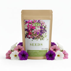 KCT GARDEN Petunia seeds packaging, ideal for filling many pots with color.