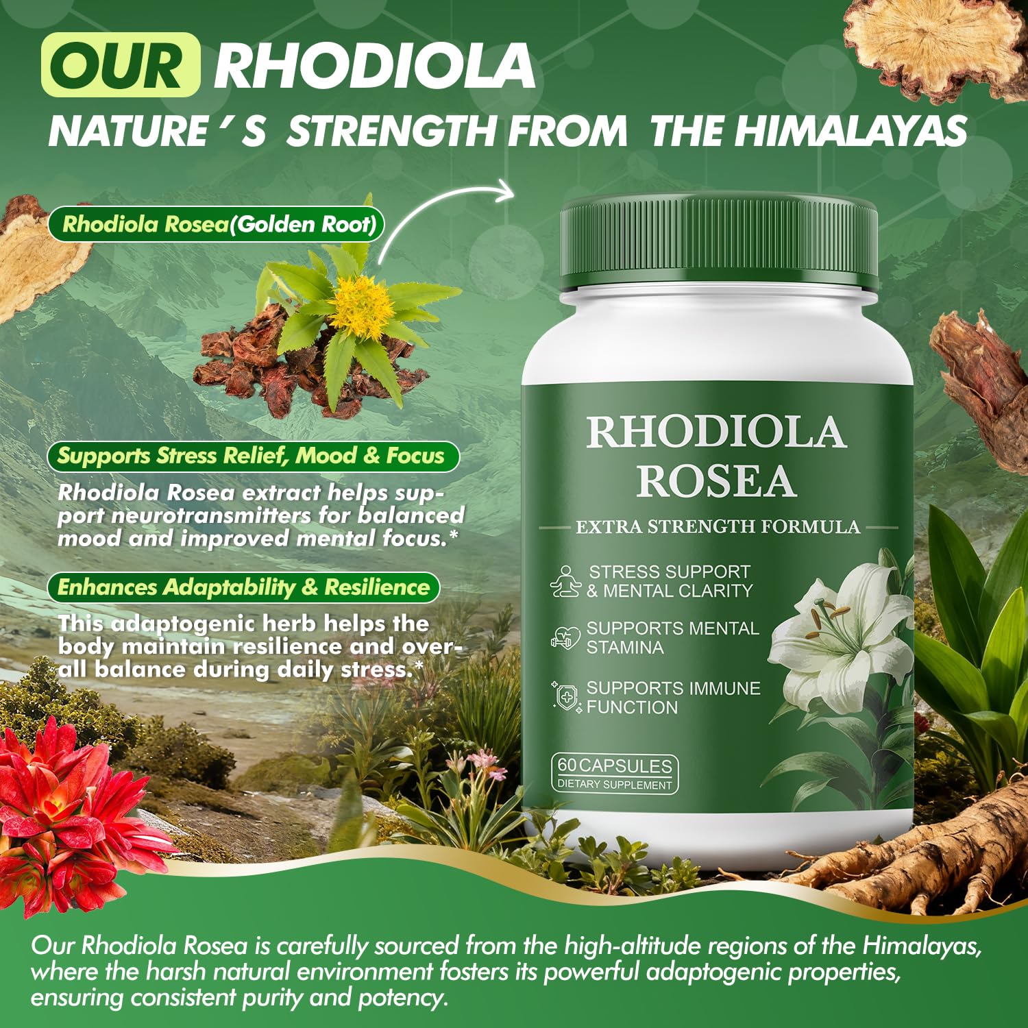 Kereeao Rhodiola Rosea extract close-up highlighting plant-based adaptogen for focus