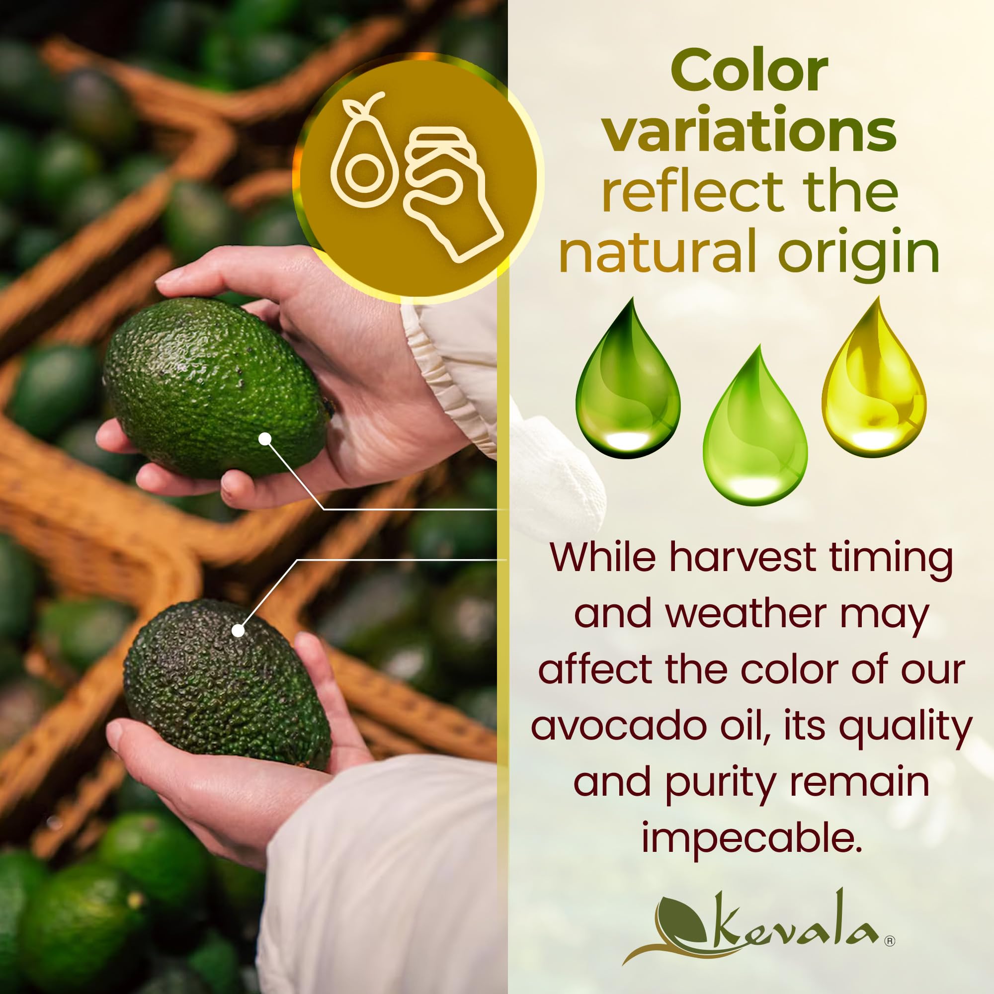 Kevala Avocado Oil 128 oz pack stored in kitchen cupboard.
