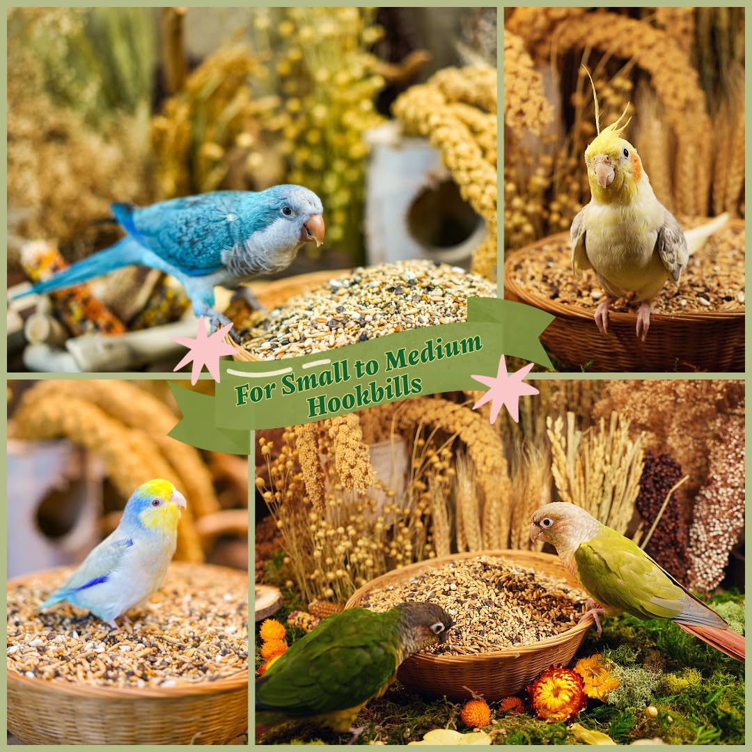 KikiBirds, parfait avec pellets et fruits pour une alimentation équilibrée.