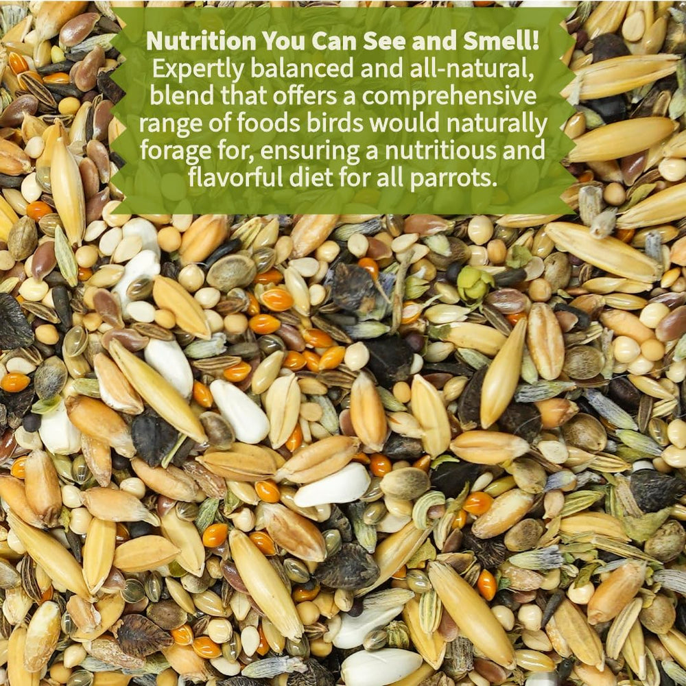 KikiBirds, mélange de grains entiers et graines gourmet pour variété nutritionnelle.
