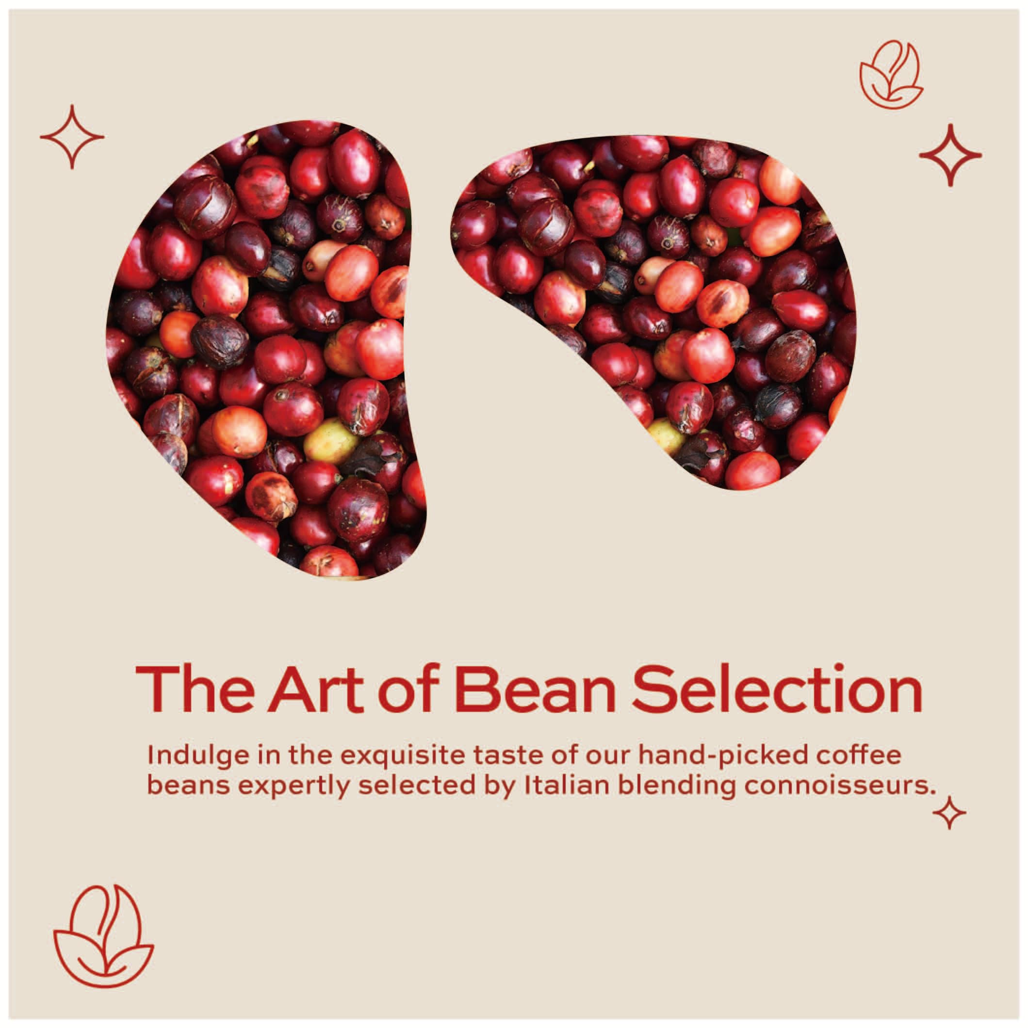 Italian roasting craft captured in a 12 oz bag for everyday rituals.