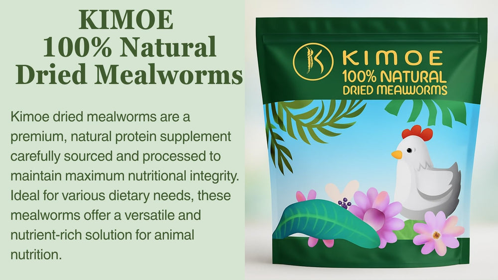 Protein-rich Kimoe mealworms support poultry nutrition and energy.