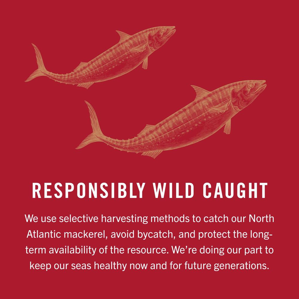 Omega-3 rich protein supports balanced meals in many dietary plans