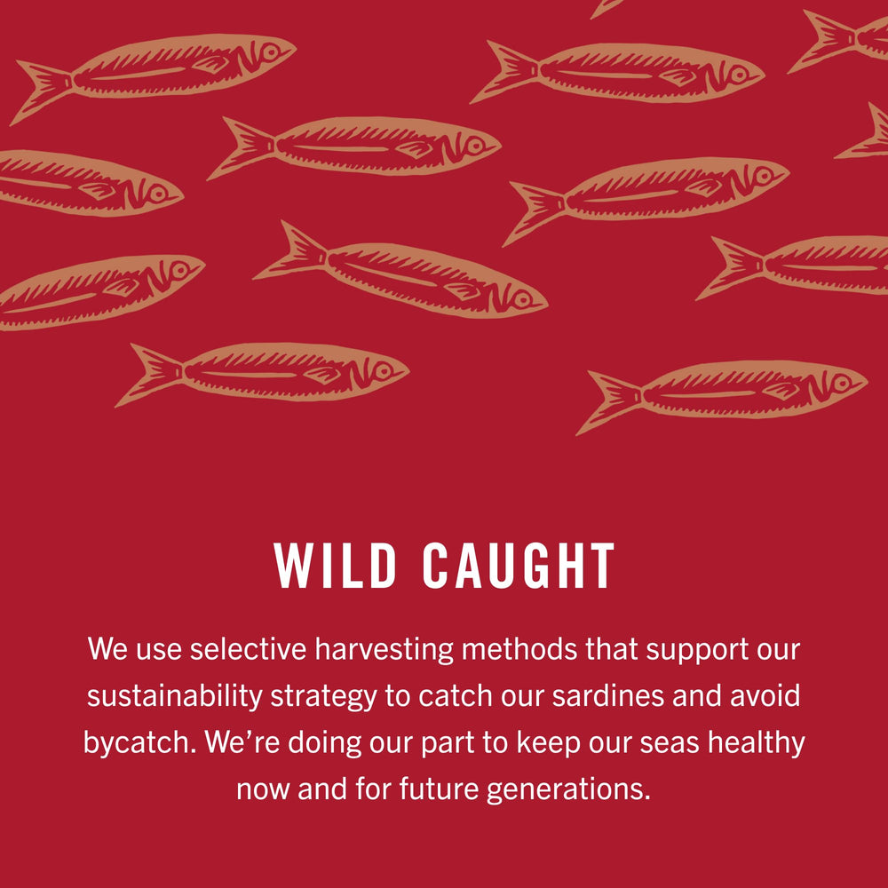 Atlantic harvest and sustainable sourcing highlighted for responsible seafood practices