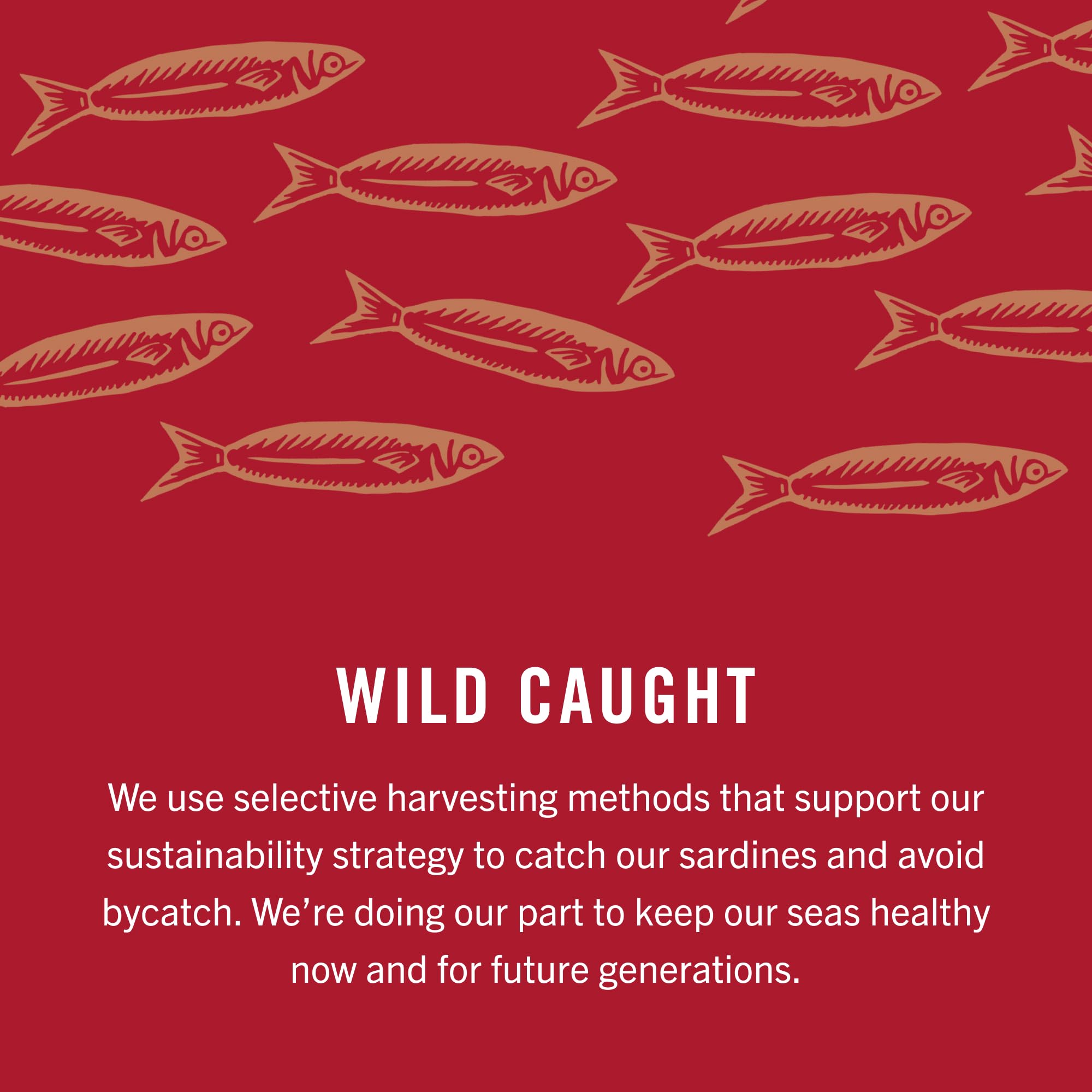 King Oscar 12-pack sardines for pantry staples and quick meals.