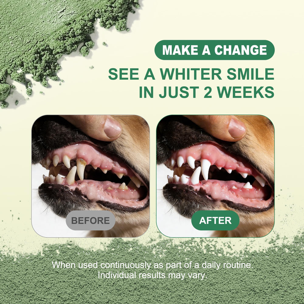 Kiuquty dental powder ingredients panel highlights seaweed, probiotics, and zinc for gentle care.